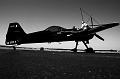 Sukhoi 31